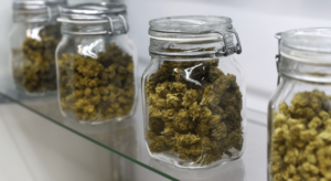 tips to keep cannabis week fresh with glass jars