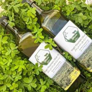 green olive oil bottle supplier