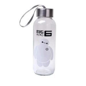 printed glass water bottle with SS cap